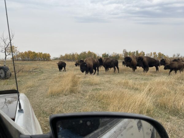 Lot #24 - Image 6