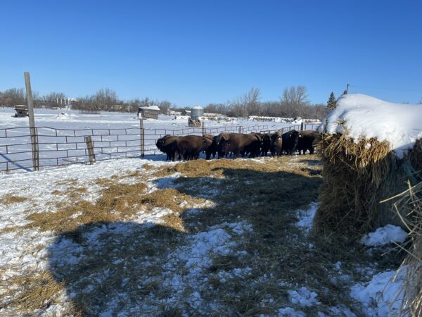 Lot #26 - Image 6