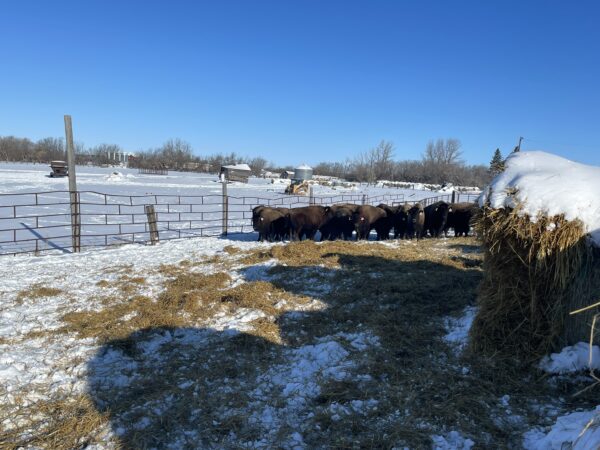 Lot #26 - Image 7