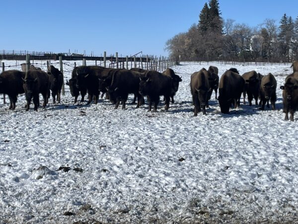 Lot #27